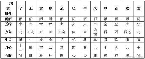 寅 五行|十二地支阴阳、五行属性、颜色及类象